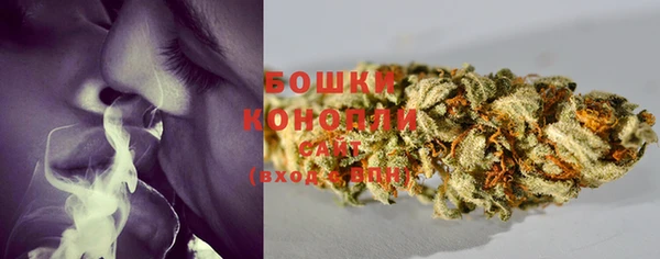 ПСИЛОЦИБИНОВЫЕ ГРИБЫ Богородицк