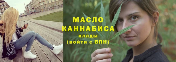 метадон Богданович