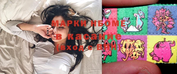 метадон Богданович