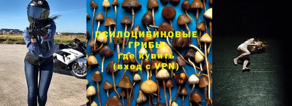 ПСИЛОЦИБИНОВЫЕ ГРИБЫ Богородицк