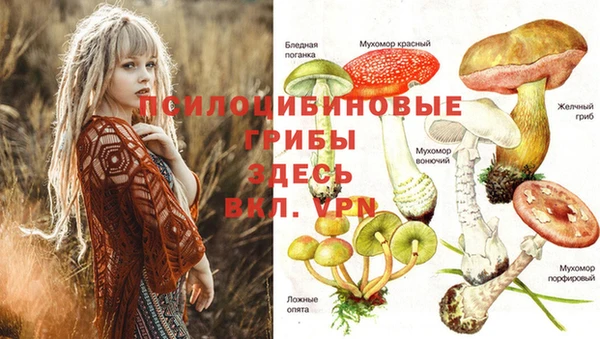 метадон Богданович
