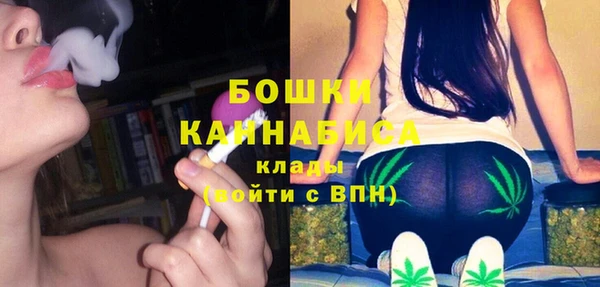 метадон Богданович