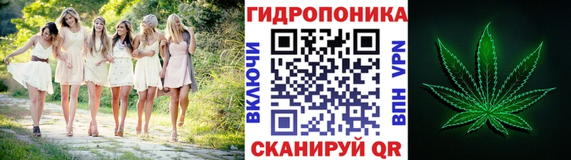 Бошки Шишки SATIVA & INDICA  Купить закладки  Корсаков 